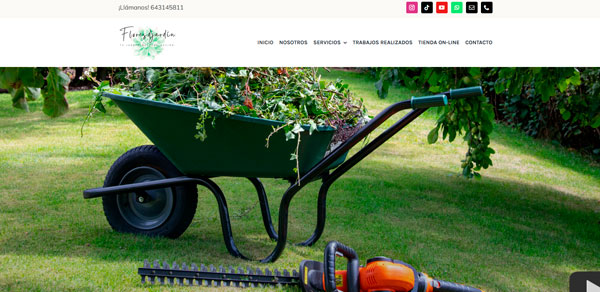 Diseño web en Guadalajara | Creamos tu web | Thunder Creativos